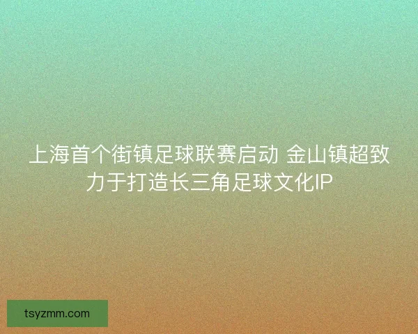 上海首个街镇足球联赛启动 金山镇超致力于打造长三角足球文化IP