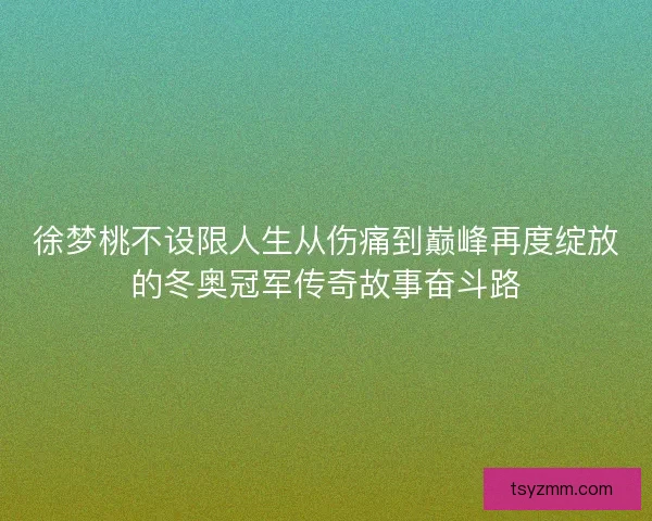 徐梦桃不设限人生从伤痛到巅峰再度绽放的冬奥冠军传奇故事奋斗路 徐梦桃不设限人生从伤痛到巅峰再度绽放的冬奥冠军传奇故事奋斗路