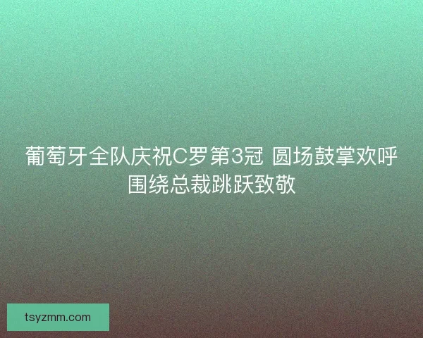 葡萄牙全队庆祝C罗第3冠 圆场鼓掌欢呼围绕总裁跳跃致敬