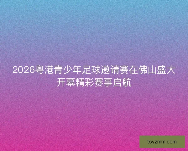 2026粤港青少年足球邀请赛在佛山盛大开幕精彩赛事启航