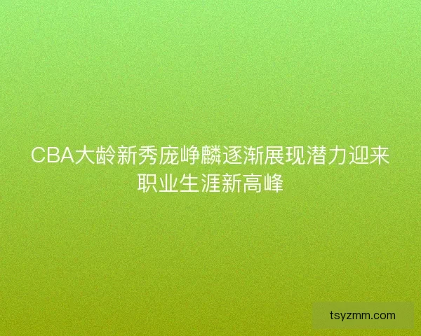 CBA大龄新秀庞峥麟逐渐展现潜力迎来职业生涯新高峰 CBA大龄新秀庞峥麟逐渐展现潜力迎来职业生涯新高峰